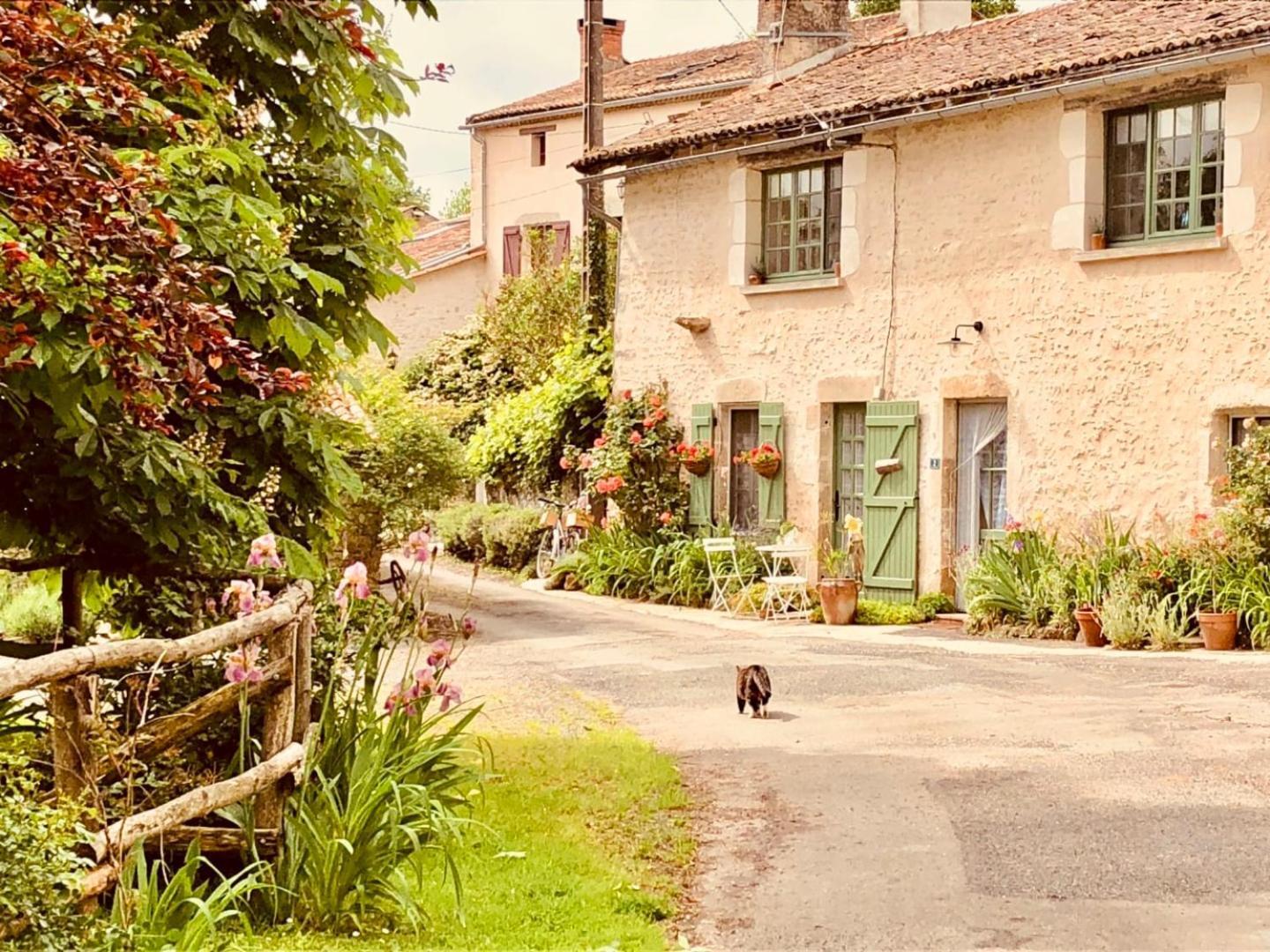 Villa Bois Mort Farm Gourgé Exterior foto